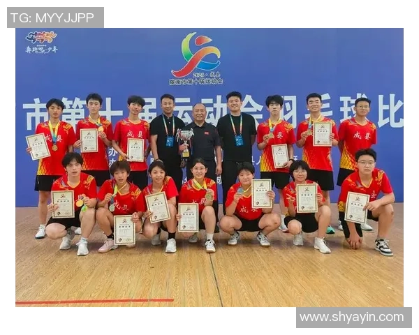 北京羽毛球队心理素质深度对比分析与提升策略探讨